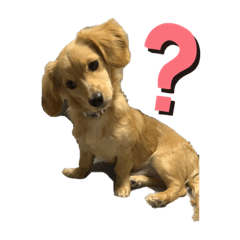 yurina_20200102152737