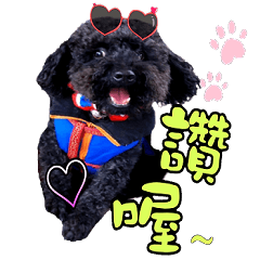 Bobo and obedient cute dog sticker