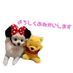 pyon_20200102182755