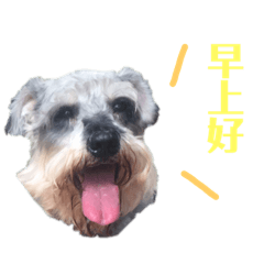 Shiuanの三個寶貝