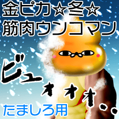 Tamashiro Gold muscle unko man winter