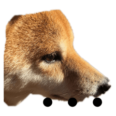 Asuka_20200102200839