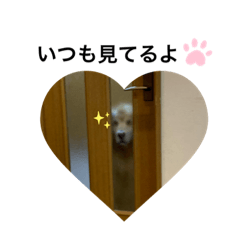 RINGO_20200102193834