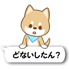 Shiba inu (Kansai dialect)