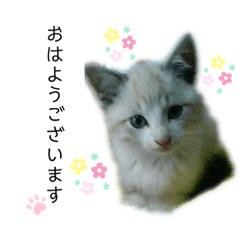 matsu_20200102194252