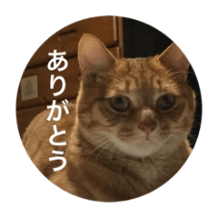 Michael_sticker