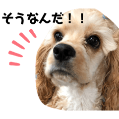 kurumi_20200102205238