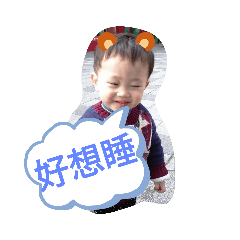 陳永紘最愛
