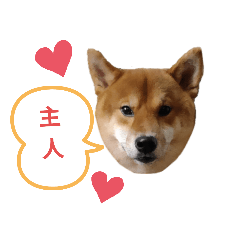 萌柴日常