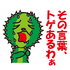 Mr. Cactus living in Kansai