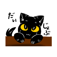 Black Cat KANN-CHAN