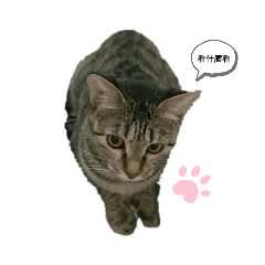 熊孩子們❤