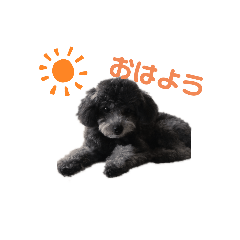 Matsu_20200102224309