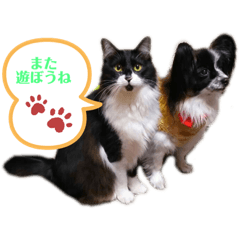 rina_20200103032113