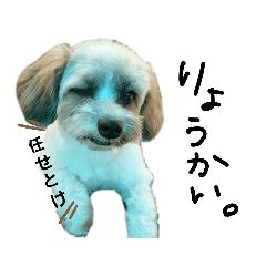 alice_20200103041348