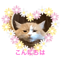 akiko_20200103132509