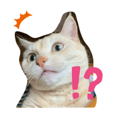 Yukari_20200103134719