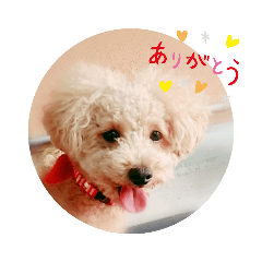 ISA_20200103165835