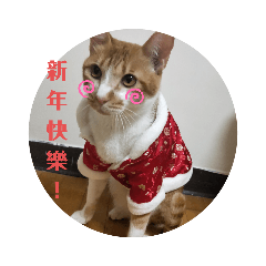蛋花祝你新年快樂