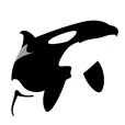 ORCAS ALL OVER!! (English Version)