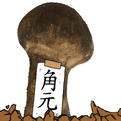 松茸研究家角元さんのマツタケ
