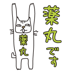 Only for Mr. Yakumaru Banzai Cat