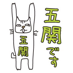 Only for Mr. Goseki Banzai Cat