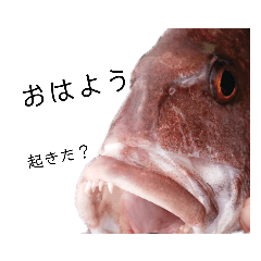 魚顔スタンプ