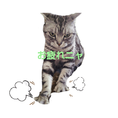mimi_20200104100555