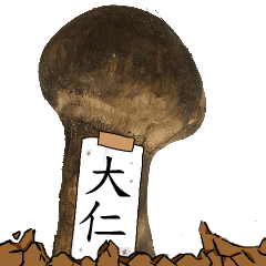 松茸研究家大仁さんのマツタケ
