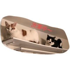 takashi_20200104111553