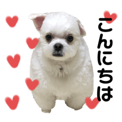 yurina_20200104173443