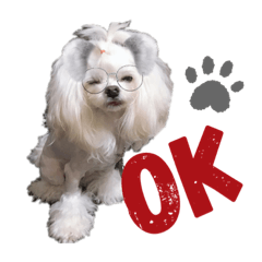 我的動物一家