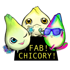 Fab Chicory