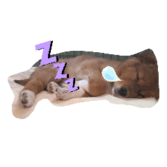 marina_20200104234353