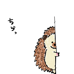 The cutie hedgehog