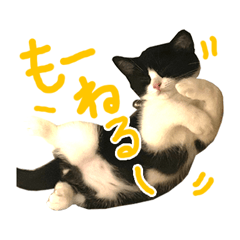 Cat Sticker(RORO)