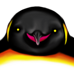 Penguin Finver