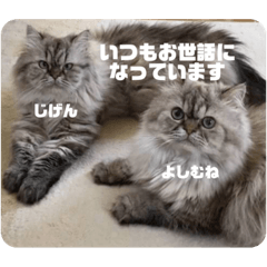eri_yoshimune.jigen