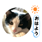 Tomotan_20200105101707