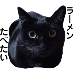Komomo stamps (Black cat)