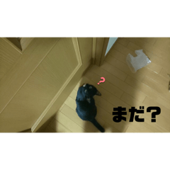 WASABI_20200105211610