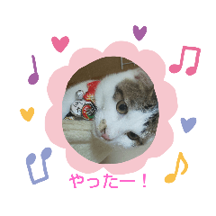 akiko_20200105224421