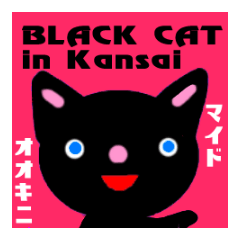BLACK CAT in Kansai