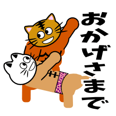 Macho cat dancer