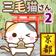京都の三毛猫さん2
