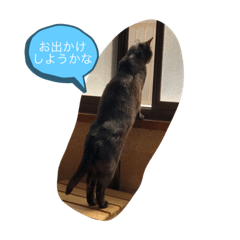 rierie20200106001716