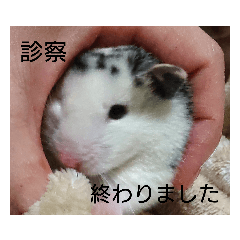 Hospital Sticker Japanese