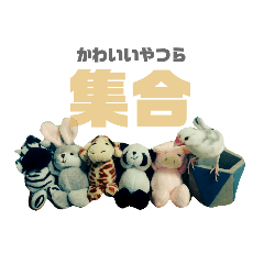 kichi_20200106123411