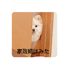 hana_20200106155038